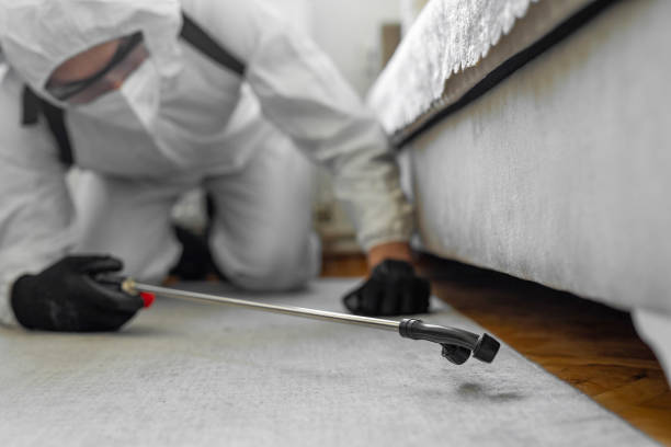 Professional Bed Bug Control technician working in Winsted, MN